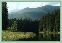 Vrbick� pleso