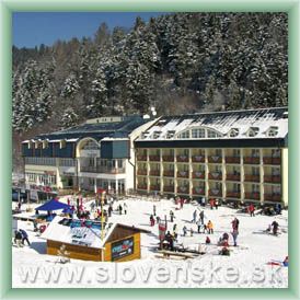 Hotel Plejsy ***