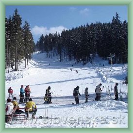 Ski Nov� Lopu�n� dolina