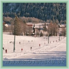 Ski TaJa