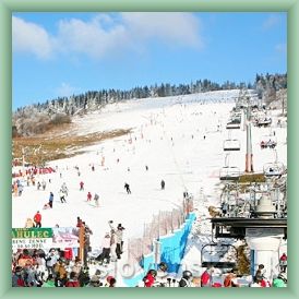 Ski are�l Krahule