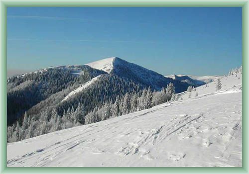Rakytov