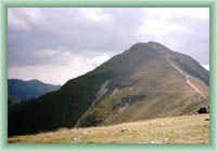 Volovec