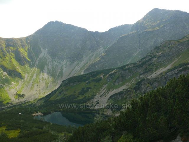 Roháče