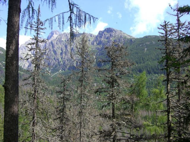 Vysoké Tatry
červenec 2011