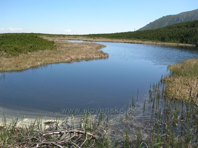 Trojrohé pleso
