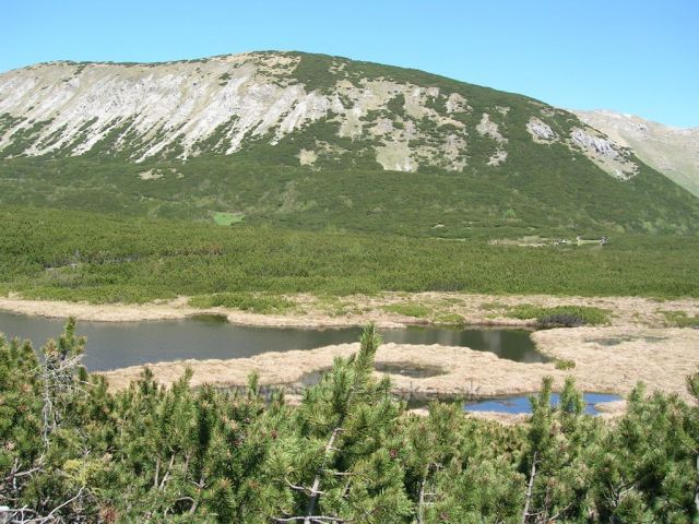 Trojrohé pleso