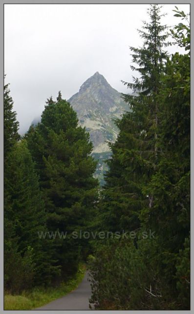 Mengusovský Volovec