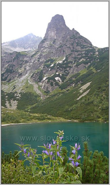 Jastrabia veža