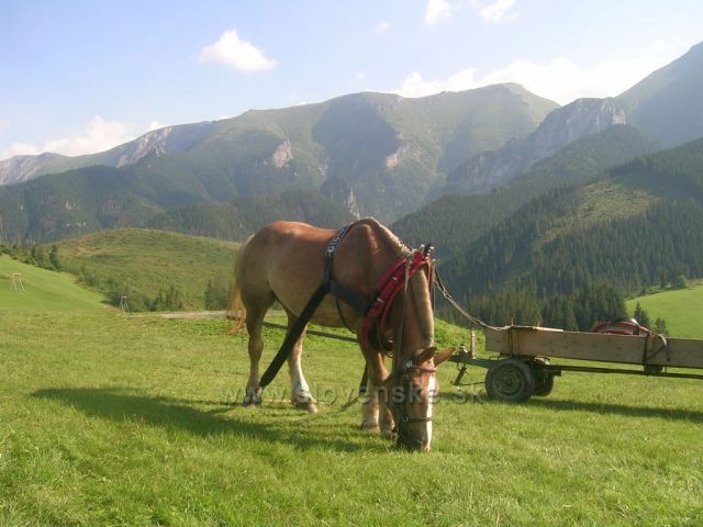 Ždiar