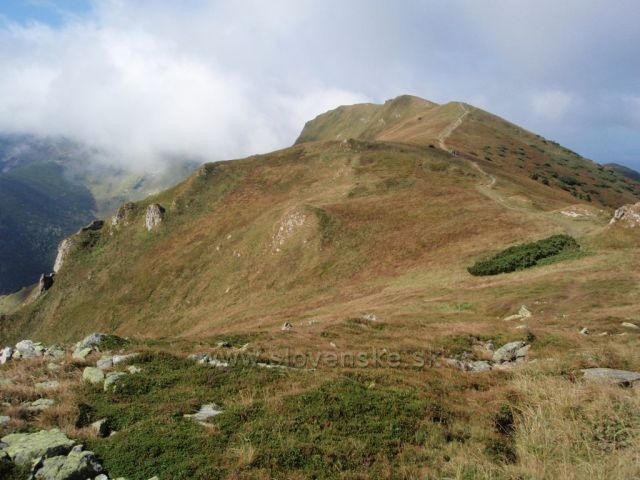 Pekelník