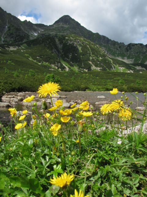 Bílé Pleso