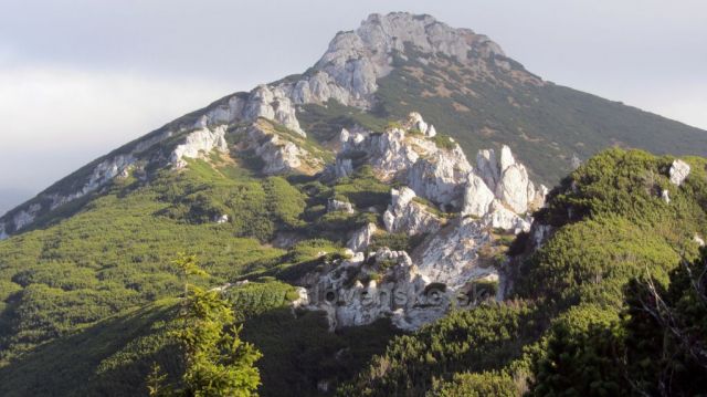 Sivý vrch