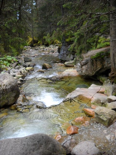Vysoké Tatry, Malá Studená dolina
