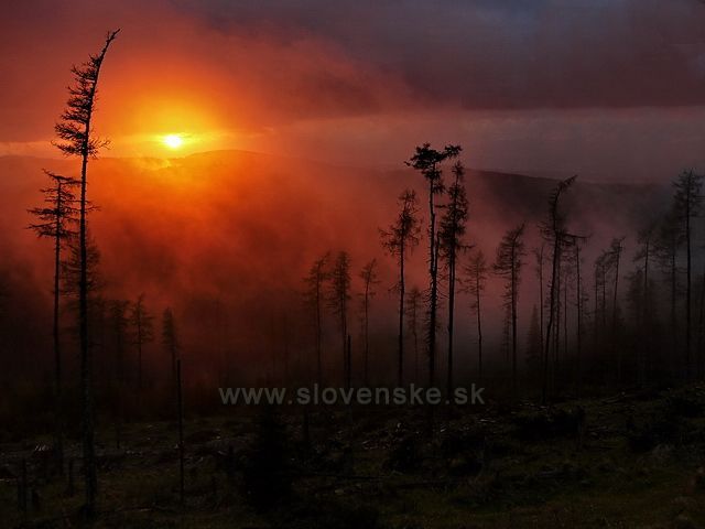 Pohled ze Smrečin směrem k západu.