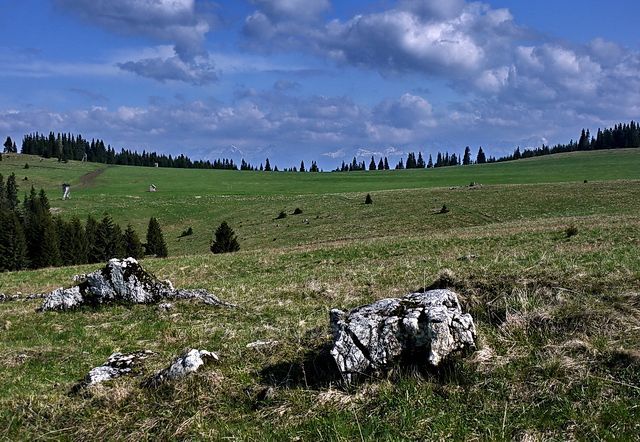 Na Smrečinách. Pohled na Vysoké Tatry