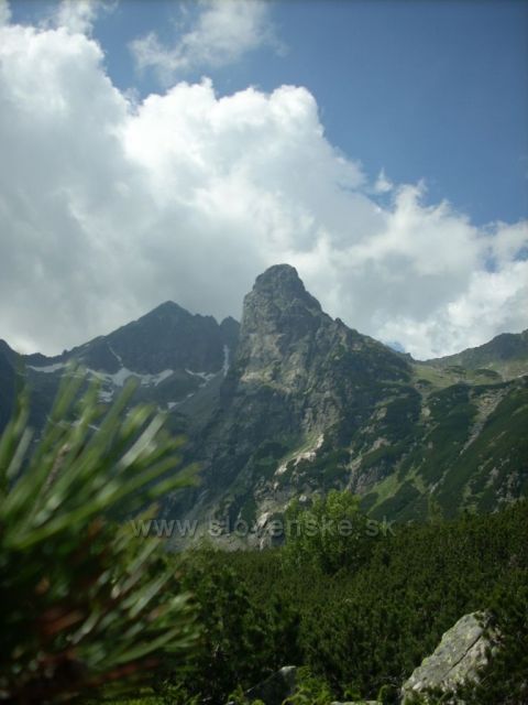 kolovy stit,jastrabia veza