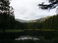 Vrbické pleso