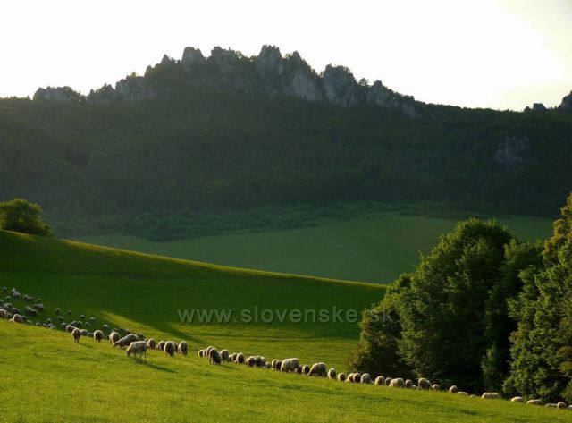 Sulovske skaly