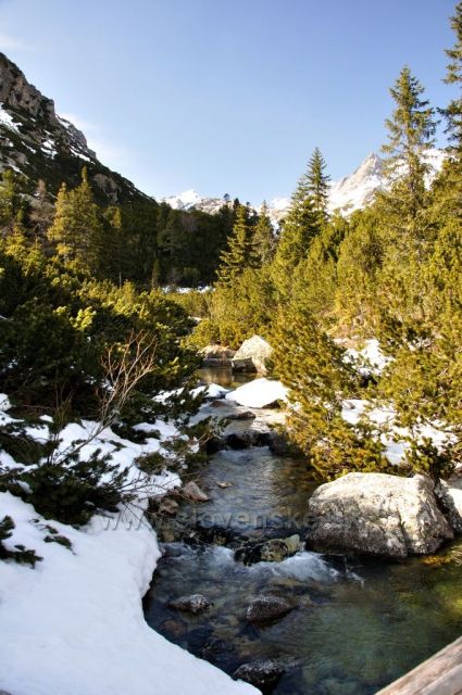 Cestou na Popradske pleso