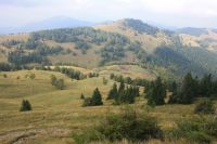 pohled do doliny cestou z Ploské na Borišov
