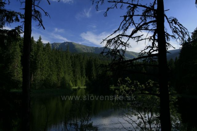 Vrbické Pleso