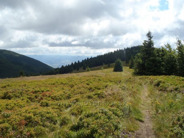 Horná lúka