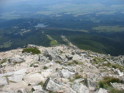Solisko