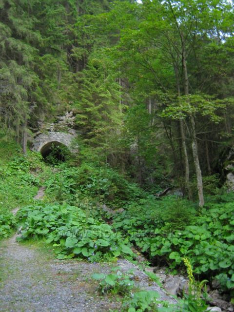 Dëmanovská dolina