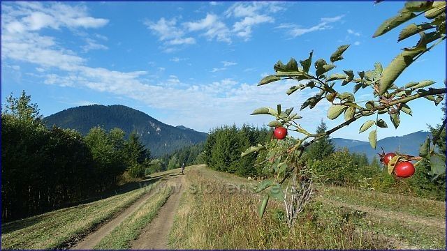 Cestou na Malý Rozsutec