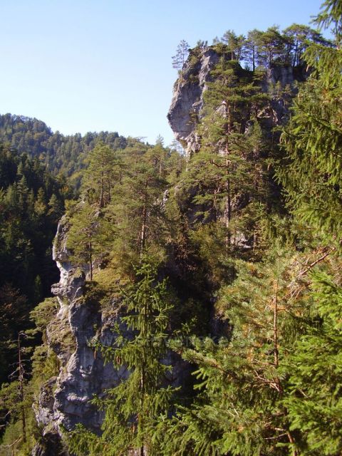 Cestou na Malý/Velký Rozsutec