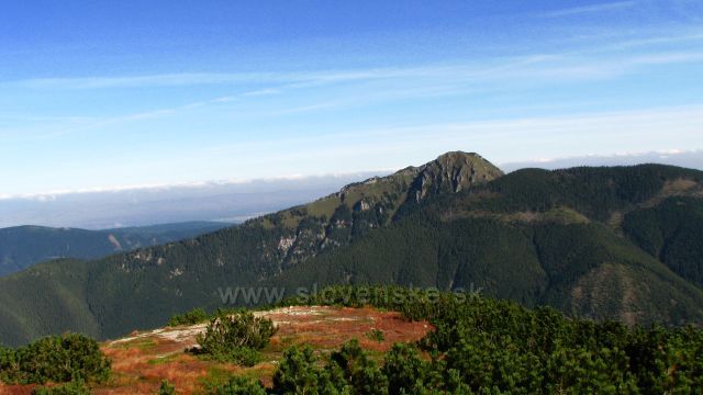 Výhled na severovýchod z Brestové