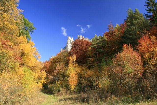 Súlovské skály