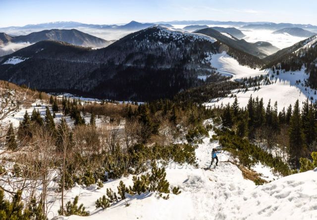 Cesta k vrcholu, Veľký Rozsutec, Malá Fatra