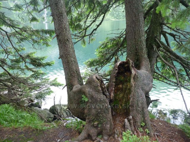 Popradské pleso