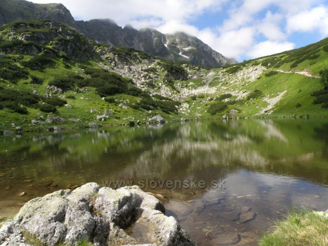 Roháče