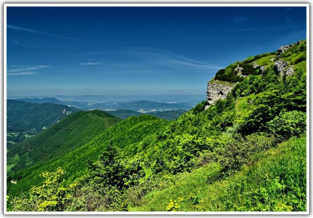 Kľak