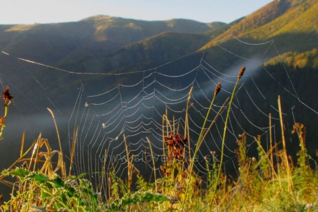 Malá Fatra,
pohled od Terchové na hlavní hřeben