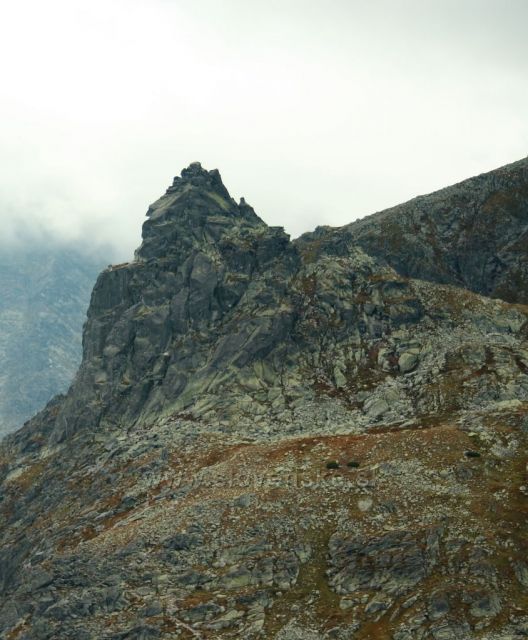 Mnich