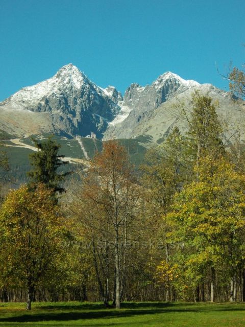v parku