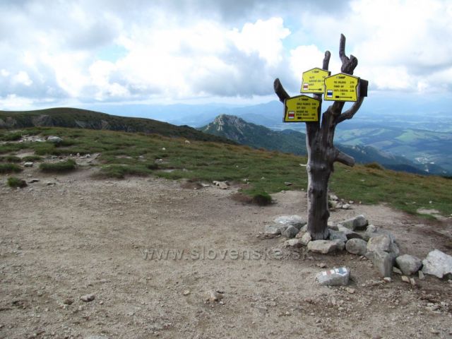 Sivý vrch z Brestové