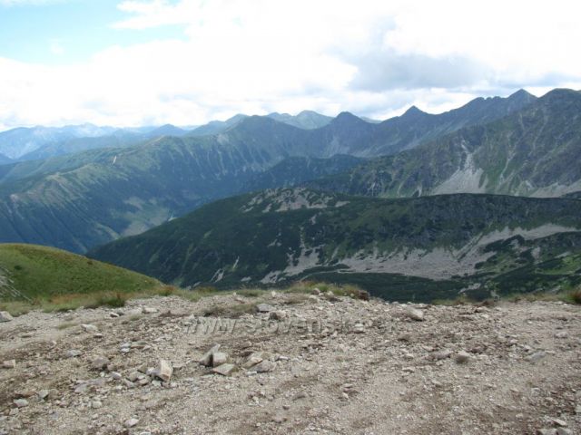 Roháče z Brestové