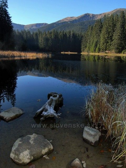 Vrbické pleso, Nízké Tatry.