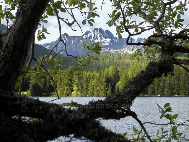 Vysoká (2.547 m) od Štrbského plesa.