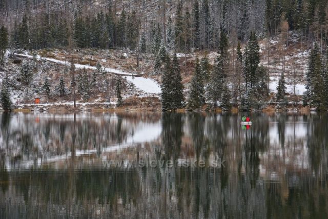 Pohlceni prirodou.  (Štrbské pleso)