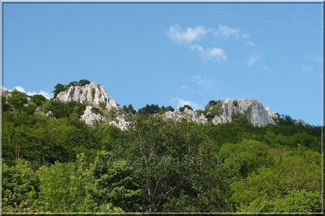 Kršlenica