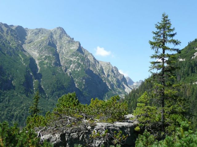 Vysoké Tatry