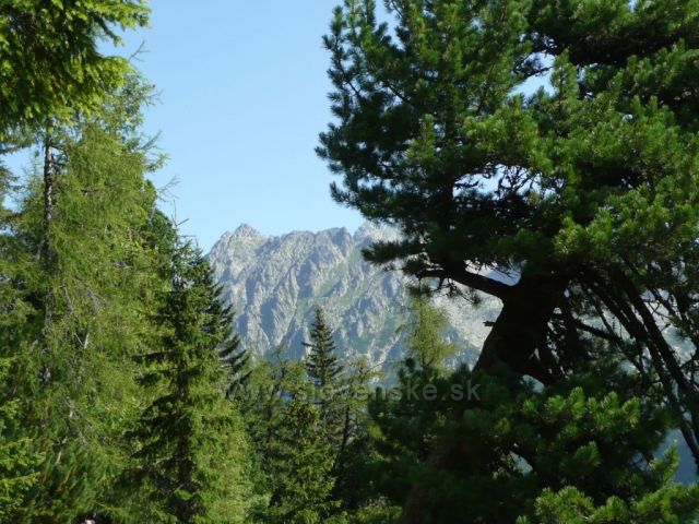 Vysoké Tatry
