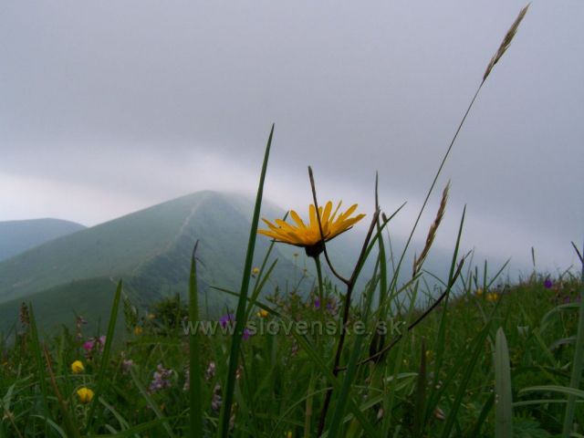 na Malé Fatře se počasí trošku pokazilo, přesto bylo krásně......