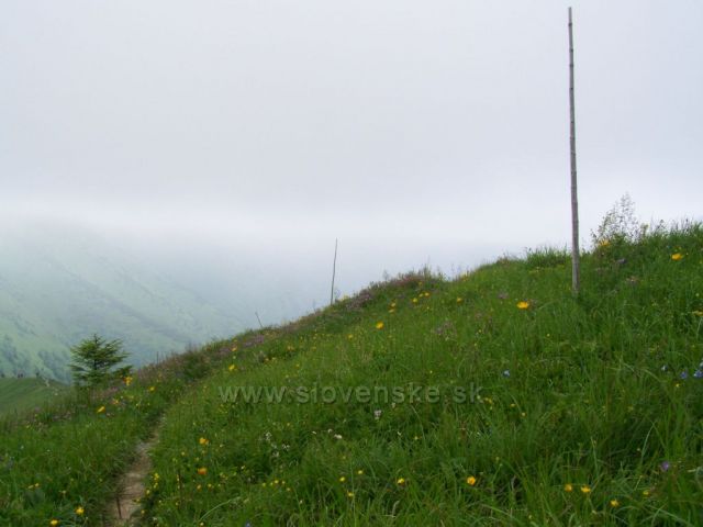 stoupání na Stoh....